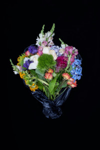 Fine Art Photography C Print: Mix of vibrant living and dying flower bouquet against black background
