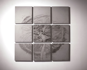 Wall sculptures of 9 concrete relief tiles in a grid, forming a placenta.