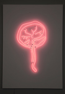 Pink neon abstract wall art of the strong and vibrant life giving placenta.