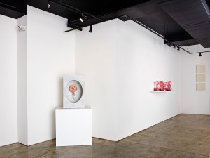 Female artist Zoe Buckman displays her plastinated placenta at Garis & Hahn Gallery in New York City.
